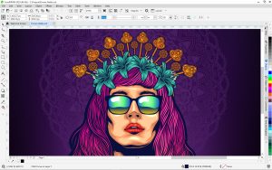 طراحی چهره با نرم افزار CorelDRAW